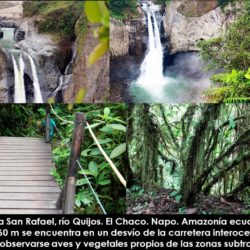 Amazonia Ecuatoriana 1 Amazonia Ecuatoriana 1