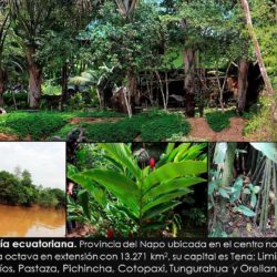 Cascada San Rafael – Napo – Ecuador Cascada San Rafael – Napo – Ecuador